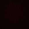 savannah_lind